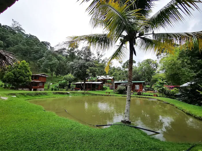 My Gopeng Resort Perak Picture 2
