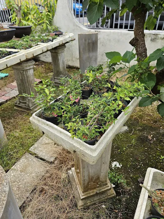 Malaysia Bonsai and Suiseki Society Picture 5