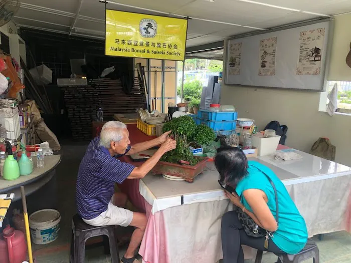 Malaysia Bonsai and Suiseki Society Picture 8