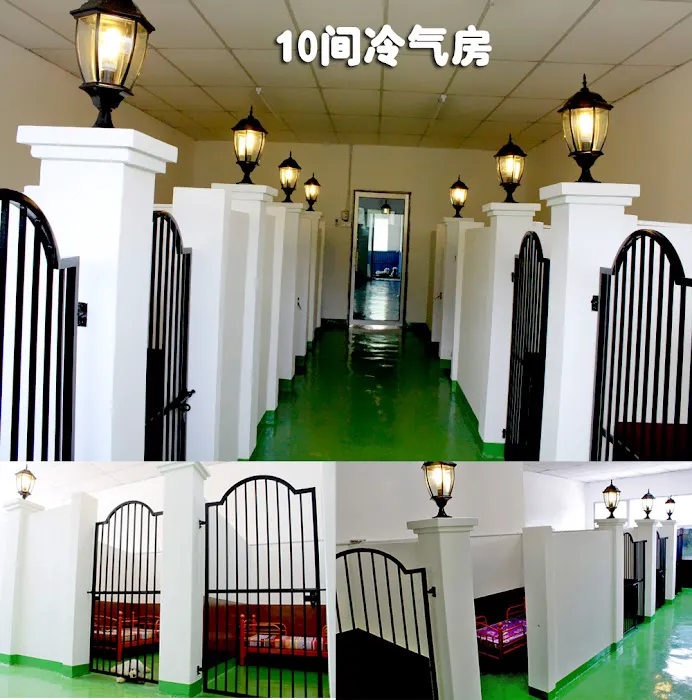 O My Dog Pet House Picture 3