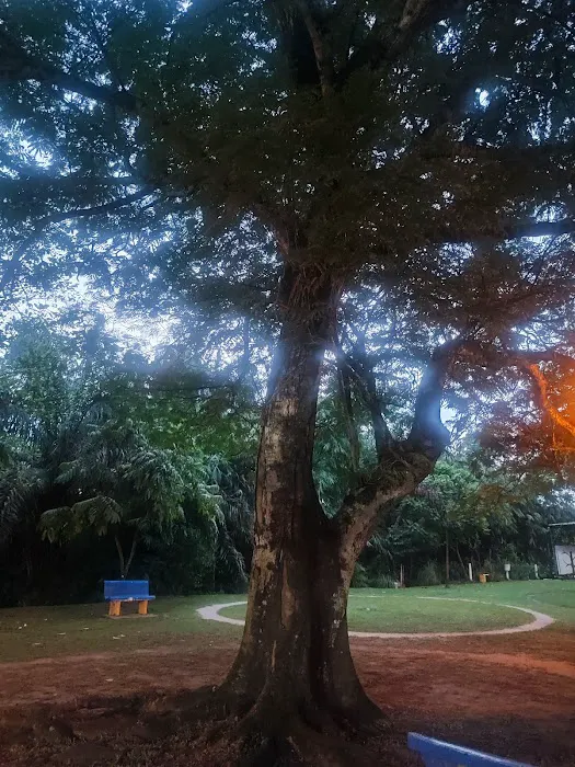 Sri Petaling Parks and Garden Picture 6