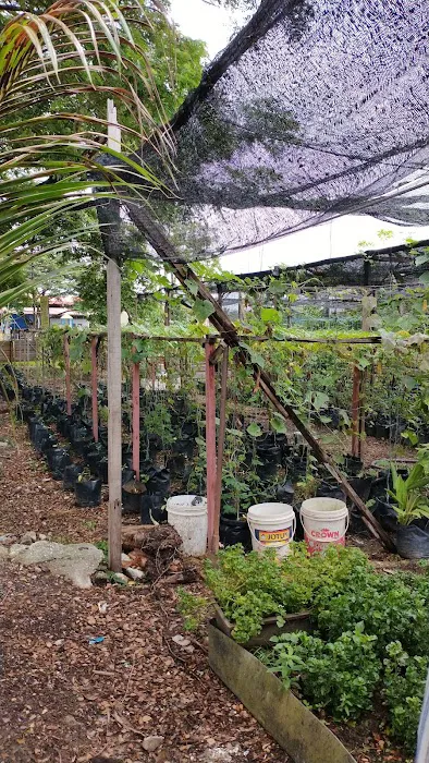 Pusat Penjaja Taman Dengkil Jaya Picture 9