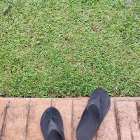 Park and garden Taman Bukit Indah jalan perisa ico