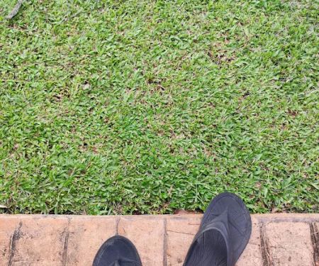 Park and garden Taman Bukit Indah jalan perisa