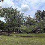Taman Desa Playground | Park