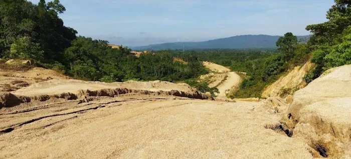 View point highway Picture 5