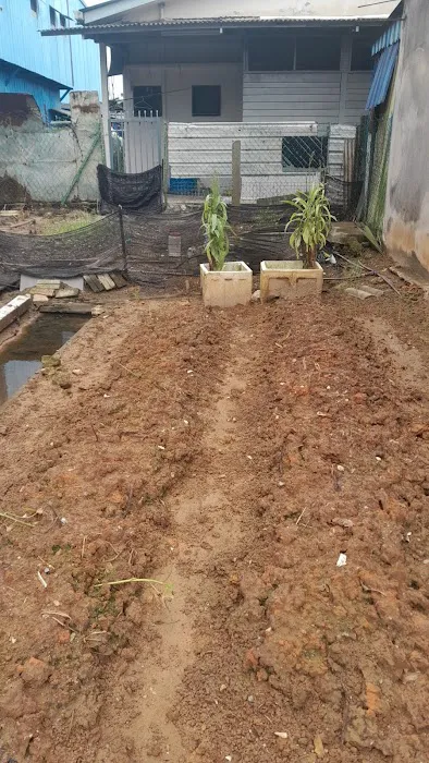 Kebun cameimei Picture 1