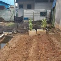 Kebun cameimei ico