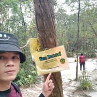 Kem Bonsai ico