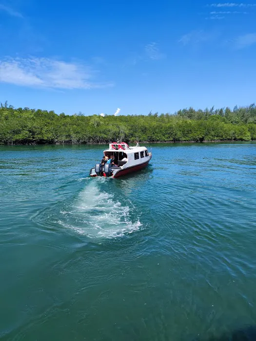 Summer Bay Lang Tengah Island Jetty Picture 9