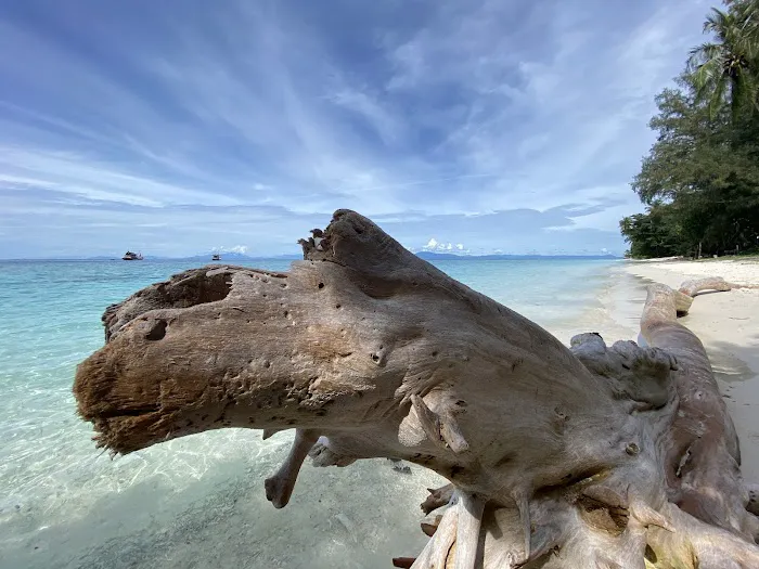 Summer Bay Lang Tengah Island Jetty Picture 3