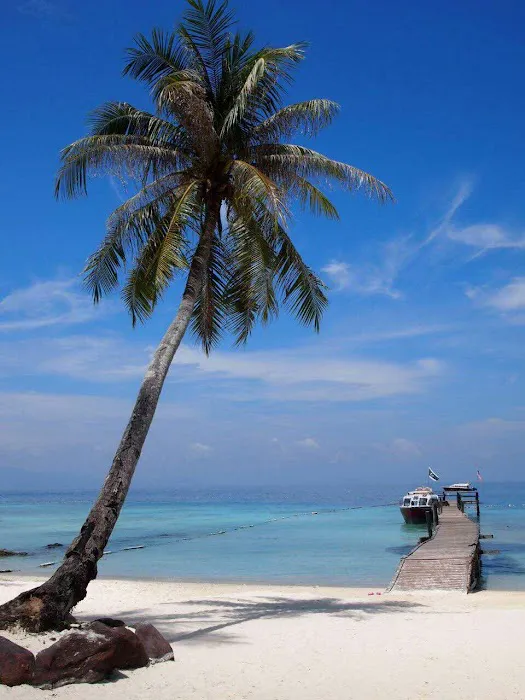 Summer Bay Lang Tengah Island Jetty Picture 8