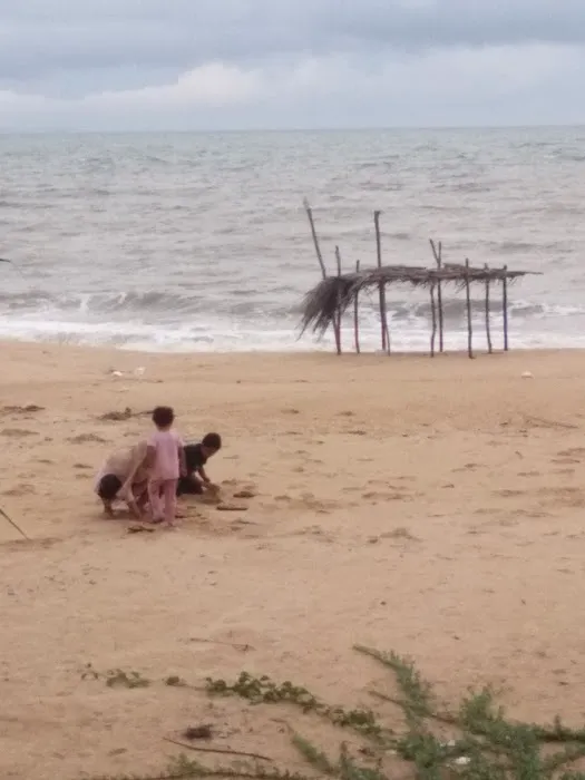 Pantai Merang Picture 6