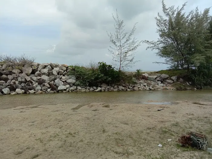 Pantai Merang Picture 8