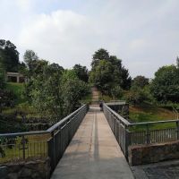 Urban Orchard Park ico