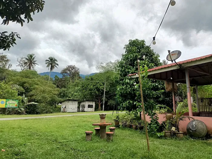 Jerinis Dusun Campsite Picture 4