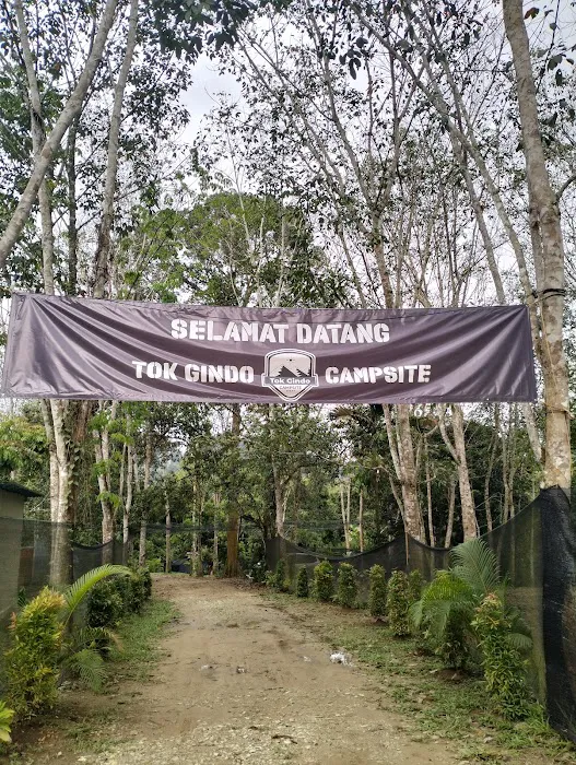 Tok Gindo Campsite Picture 1
