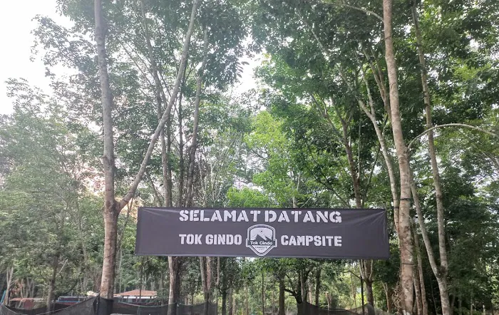 Tok Gindo Campsite Picture 9