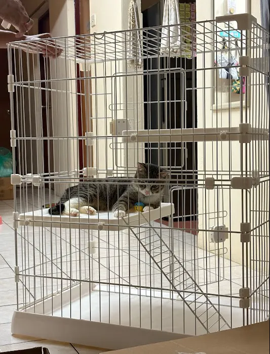 Pets Direct - Klang - Pemborong Makan Kucing No 1 - Royal Canin Wholesaler Picture 8
