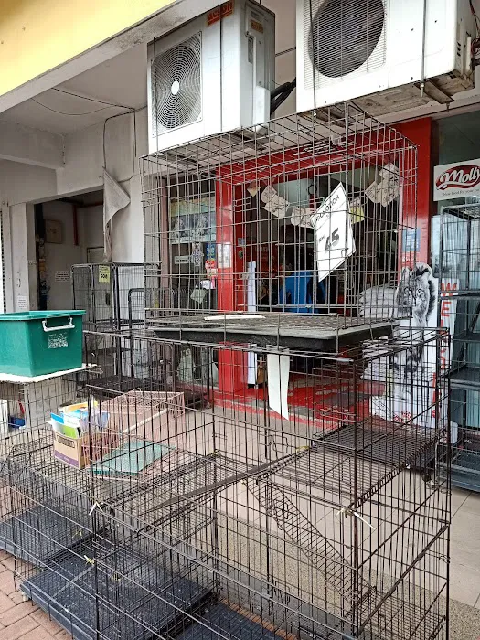 Pets Direct - Klang - Pemborong Makan Kucing No 1 - Royal Canin Wholesaler Picture 1