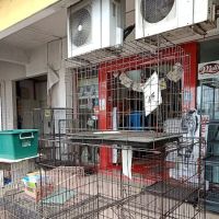 Pets Direct - Klang - Pemborong Makan Kucing No 1 - Royal Canin Wholesaler ico