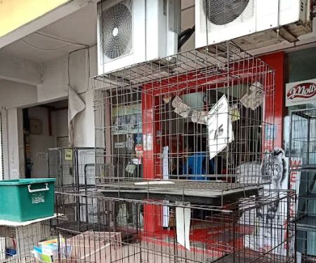 Pets Direct - Klang - Pemborong Makan Kucing No 1 - Royal Canin Wholesaler
