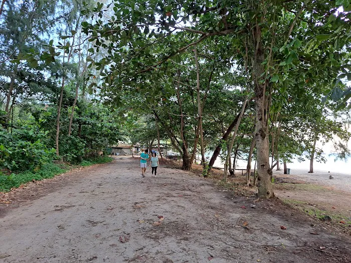 Teluk cempedak Picture 8