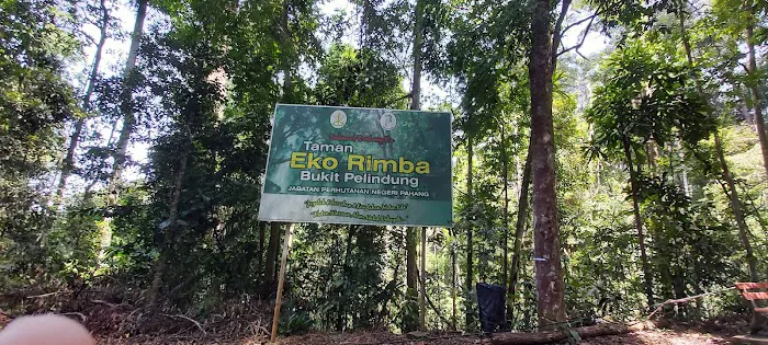 Teluk cempedak Picture 2
