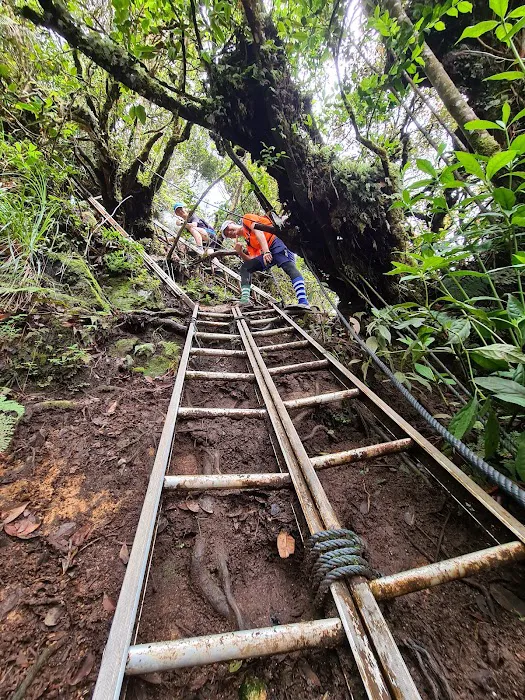 Gunung Nuang Recreational Forest Picture 10