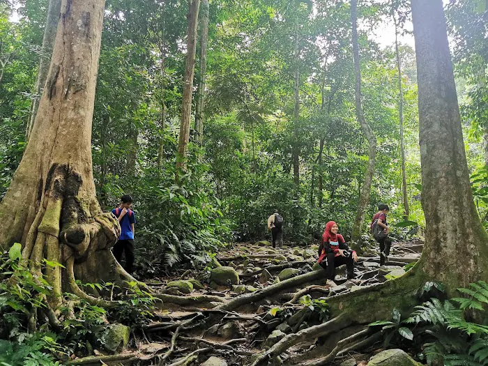 Gunung Nuang Recreational Forest Picture 9