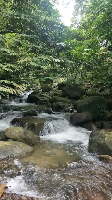 Gunung Nuang Recreational Forest Picture 2