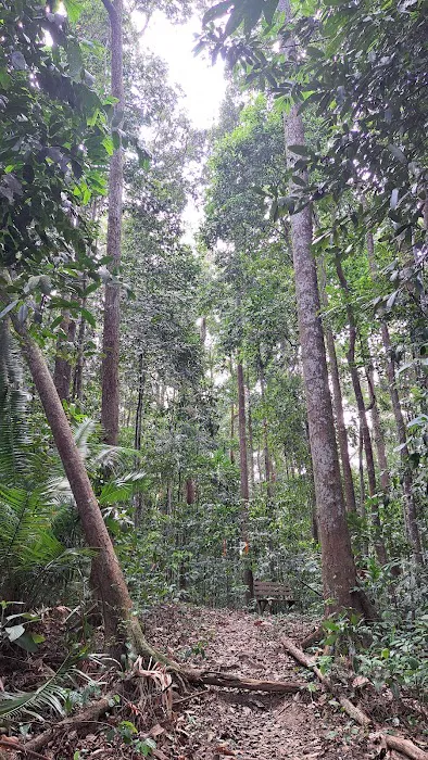 Trailhead of Denai Tembeling Picture 8