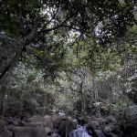 Nuang trailhead