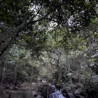Nuang trailhead ico