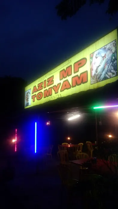 Azizi Tomyam Picture 7