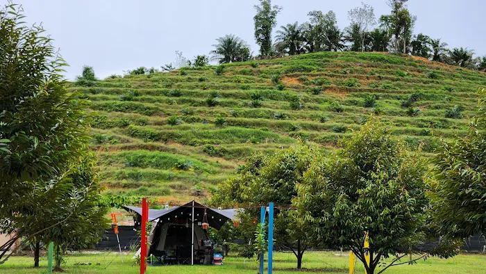 Behrang Camp De Orchard Picture 2