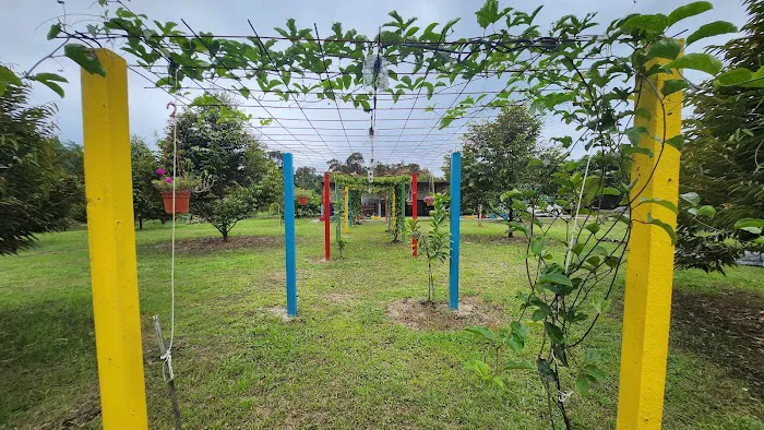 Behrang Camp De Orchard Picture 1