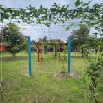 Behrang Camp De Orchard