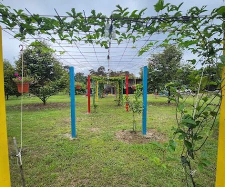 Behrang Camp De Orchard