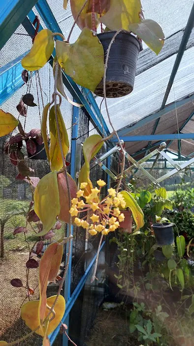 Kelara Agrotech & HN Hoya House Picture 10