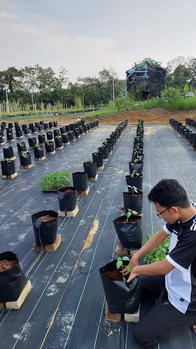 Kelara Agrotech & HN Hoya House Picture 3