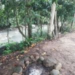 Tok Bak Campsite