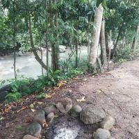 Tok Bak Campsite ico