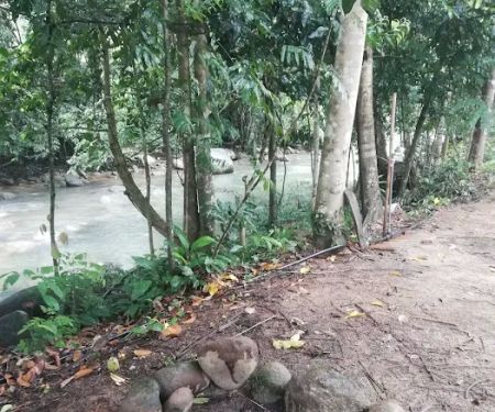 Tok Bak Campsite