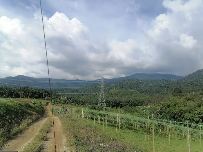 Tok Bak Campsite Picture 8