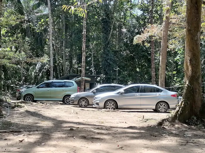 Tok Bak Campsite Picture 2