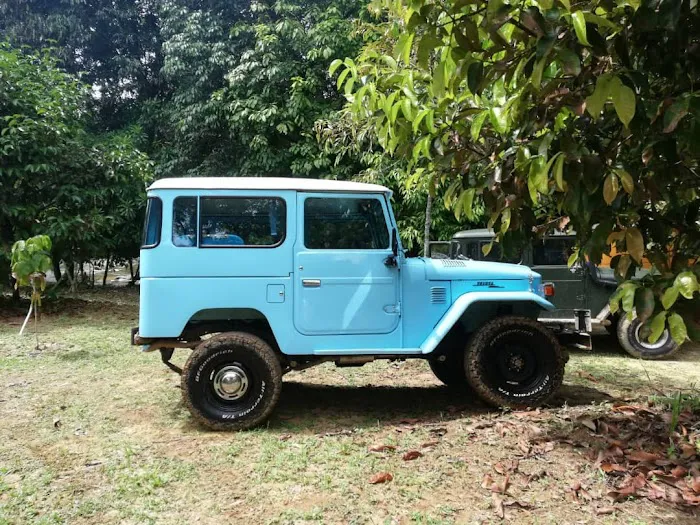 Tok Bak Campsite Picture 9