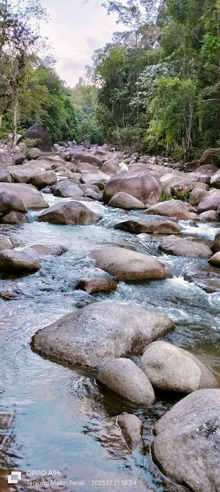 tibawan farm Picture 1
