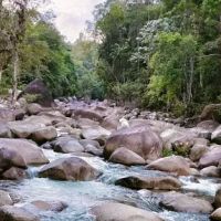 tibawan farm ico