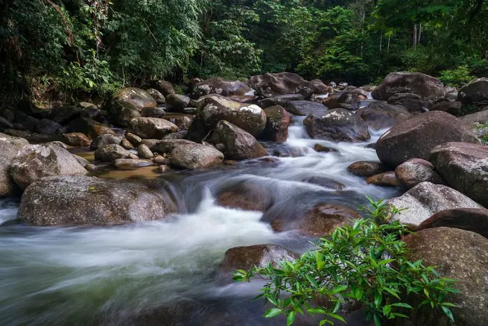 Laman Rindu Campsite, Sg Bil Picture 10